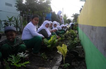 Budidaya Bunga