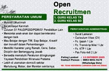 Loker Guru Kelas TK, SD Medan Martubung 2025